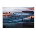 Trademark Fine Art Amir Bajrich 'Mist' Canvas Art, 16x24 1X02734-C1624GG